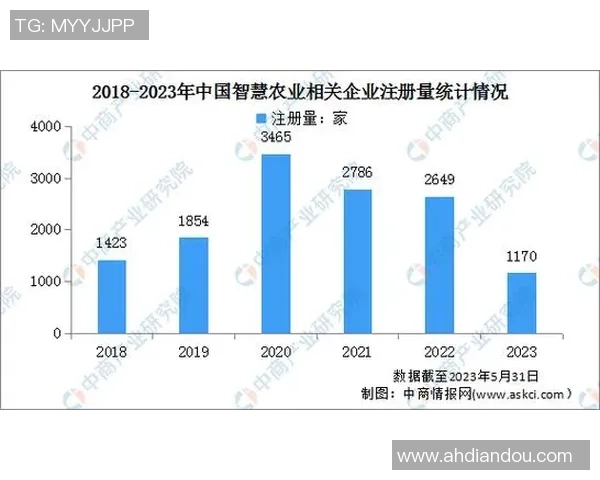 成都排球队实力分析与未来发展潜力的深度探讨